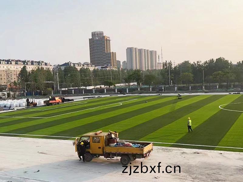 運動足毬(qiu)係(xi)列(lie)